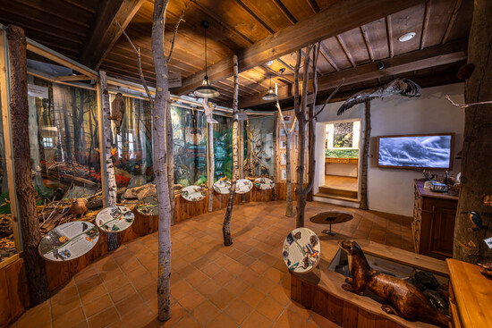 Snezne clanek souhrn 7