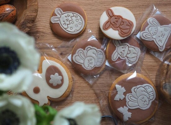 Snezne clanek vylet 1