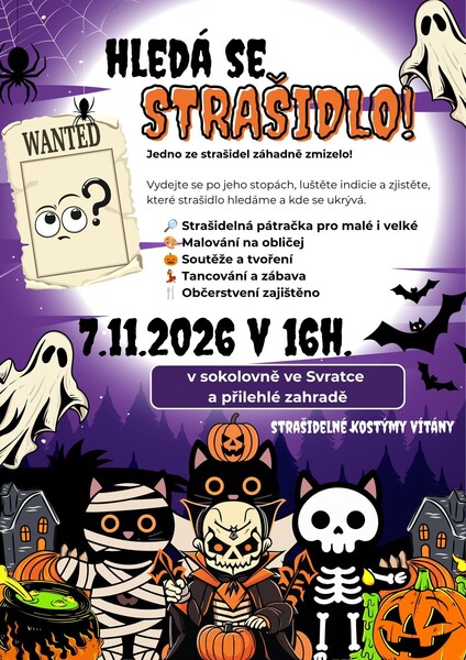 Svratka hleda se strasidlo