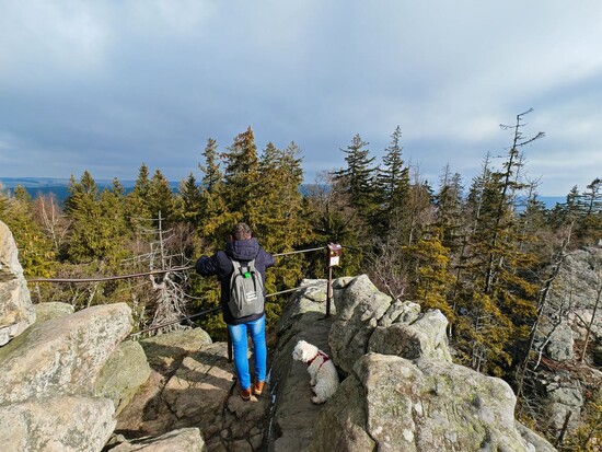 Zajarnikrasoukrizanek 12