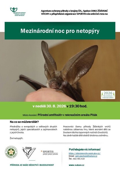 Zdarns noc pro netopyry