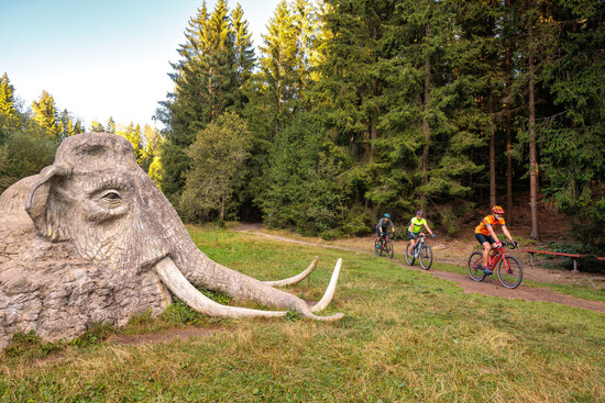 aktivnidovolena tematicke vylety 11