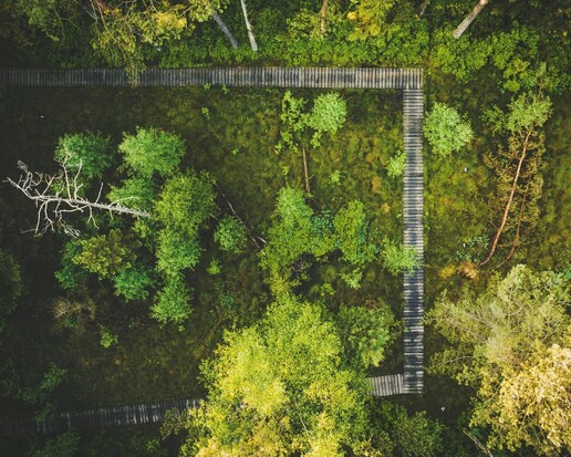 clanek velke darko 10