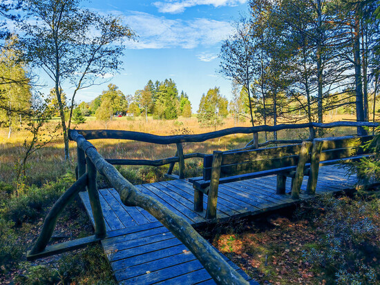 clanek velke darko 12