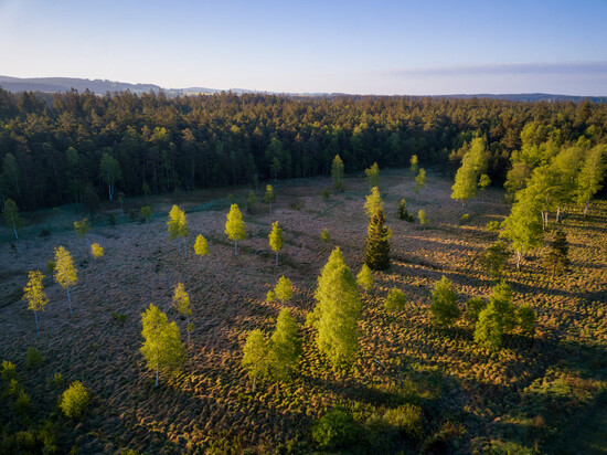 clanek velke darko 4