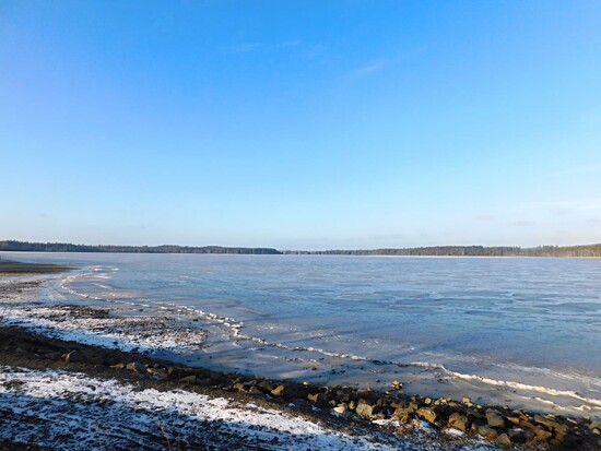 clanek velke darko 7