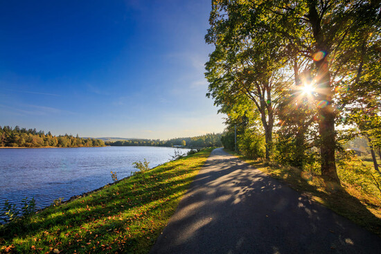 clanek velke darko 8