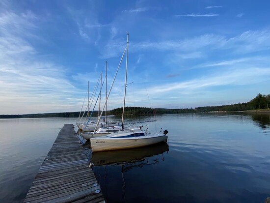 clanek velke darko 9