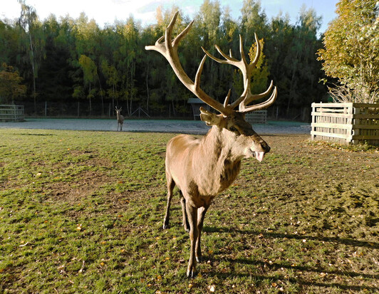 ekocentrum Zelené údolí a naučná stezka 3 copy