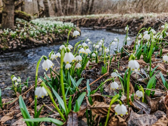 jarnivyletyzakytickami26 2