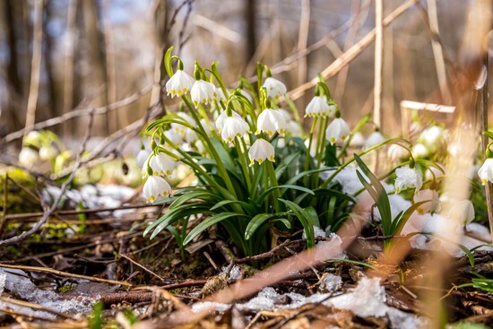 jarnivyletyzakytickami26 4