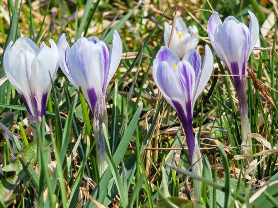 jarnivyletyzakytickami26 6