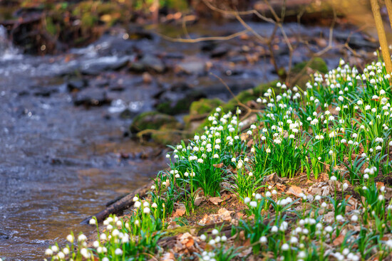 jarnivyletyzakytickami26 8