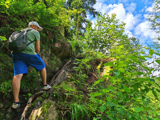 letnivyletdotrenckovyrokle 03