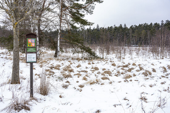 nalyzichkolemdarka25 06