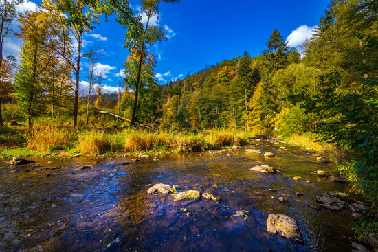 nedvedicko2025 podzimni vylet 10