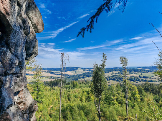 nove utulny na via czechia 2
