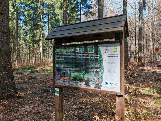 o zakove hore 11 copy