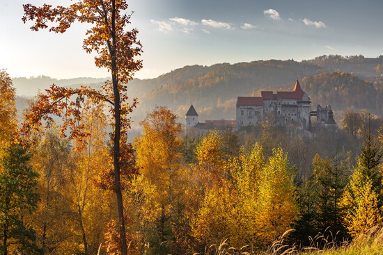 pern4201175767060878 n