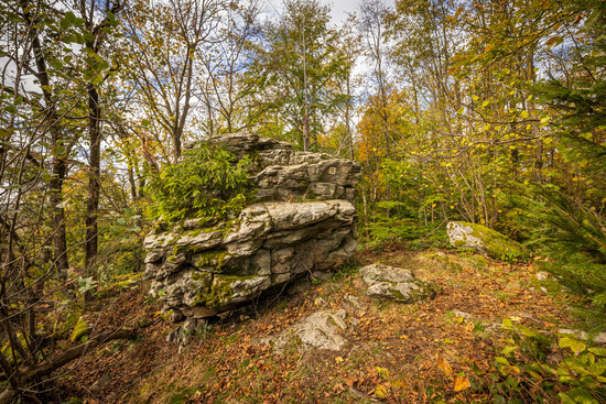 po hamerskem okruhu 9