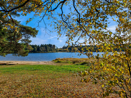 podzim postopachvlka 1