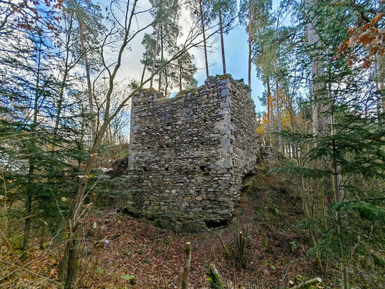 podzimkolemmitrova 10