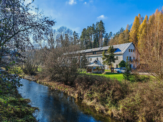 podzimkolemmitrova 12