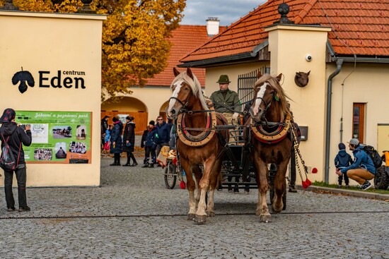 podzimni akce vysocina 2026 8