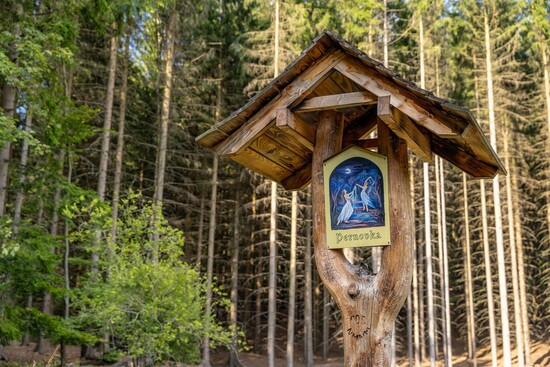 podzimni trek vlk 4