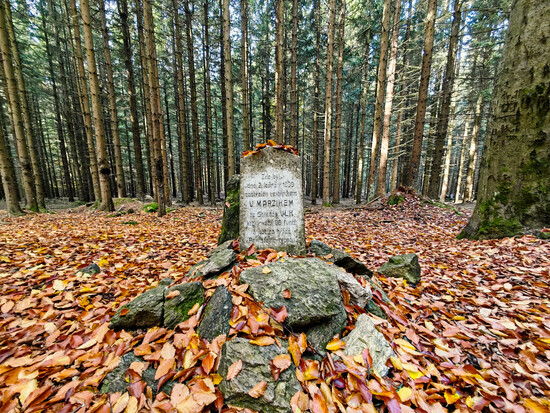 podzimni trek vlk 8