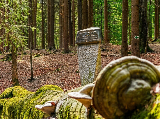 povesti skaly zdarske vrchy 6