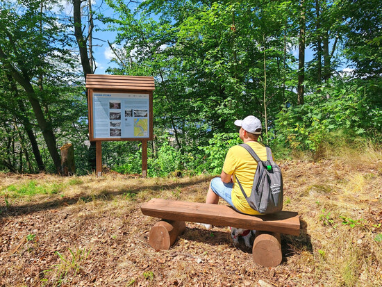 proc navstivit vir 1