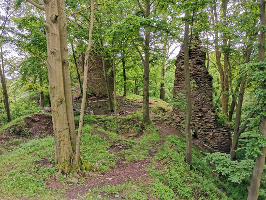 proc navstivit vir 11