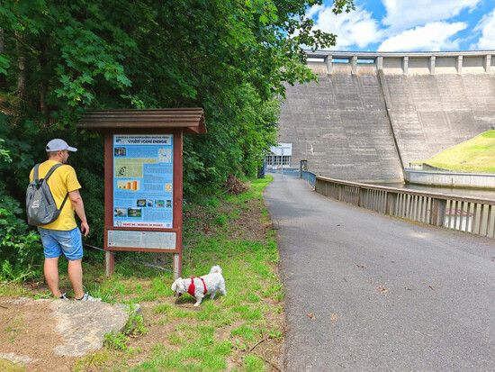 proc navstivit vir 17