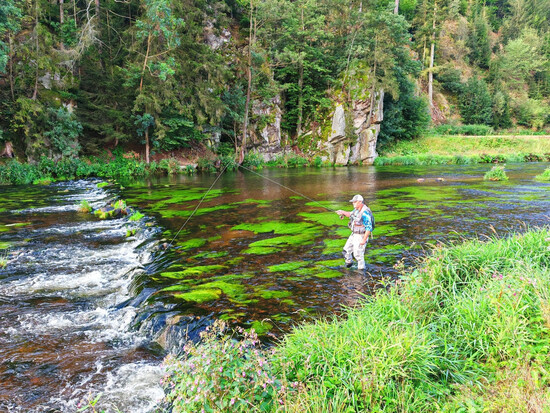 proc navstivit vir 3