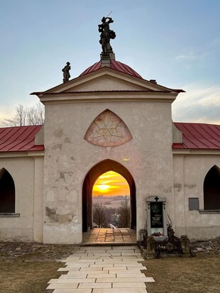 ronodennost zelenka 5