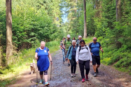 santinihostezka 5etapa