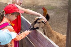 Turisté loni nejčastěji mířili do Relaxačního centra, Městských lázní a na Pernštejn