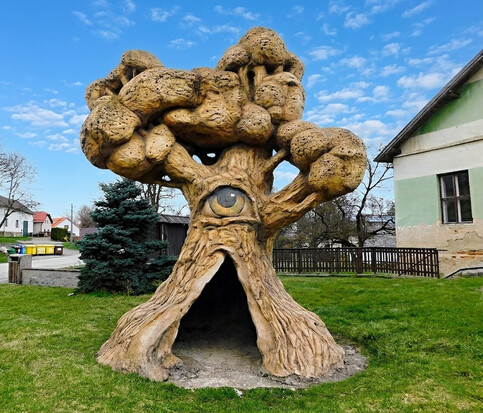 vylet nizkov podesin 7