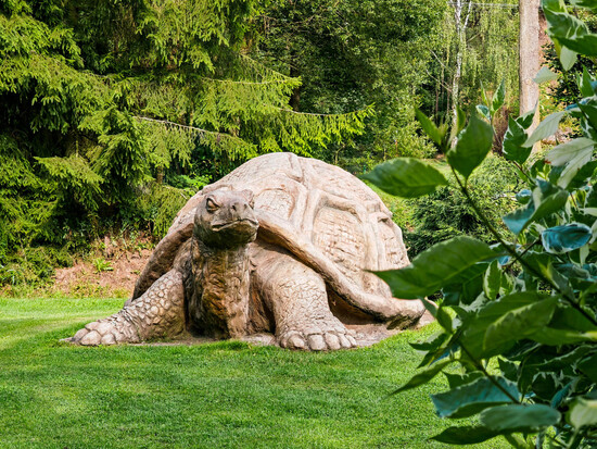 vyletbarokokolemzdaru 09