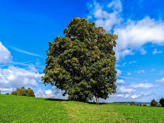 vyletkolemsulkovce 03