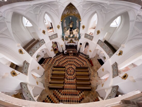 zelenka373746622620 n copy